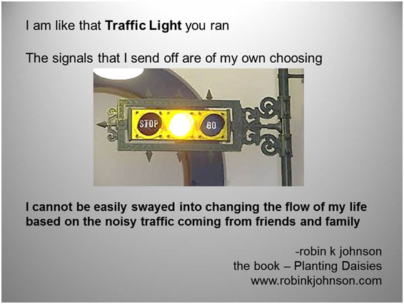 I am like that traffic light you run